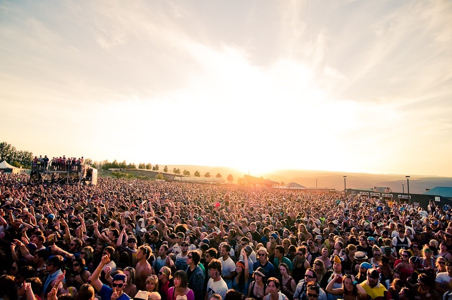 festival activiteiten