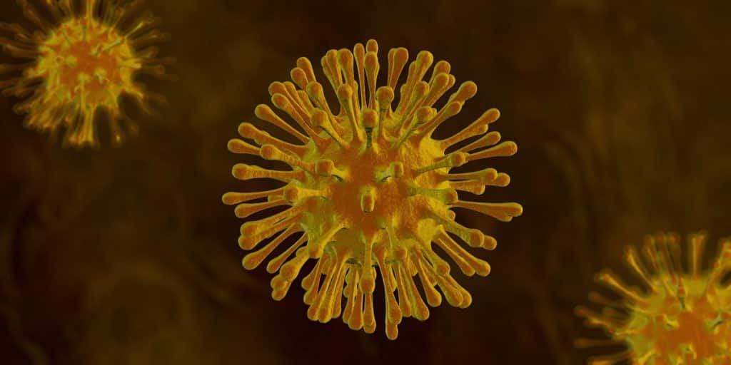 coronavirus